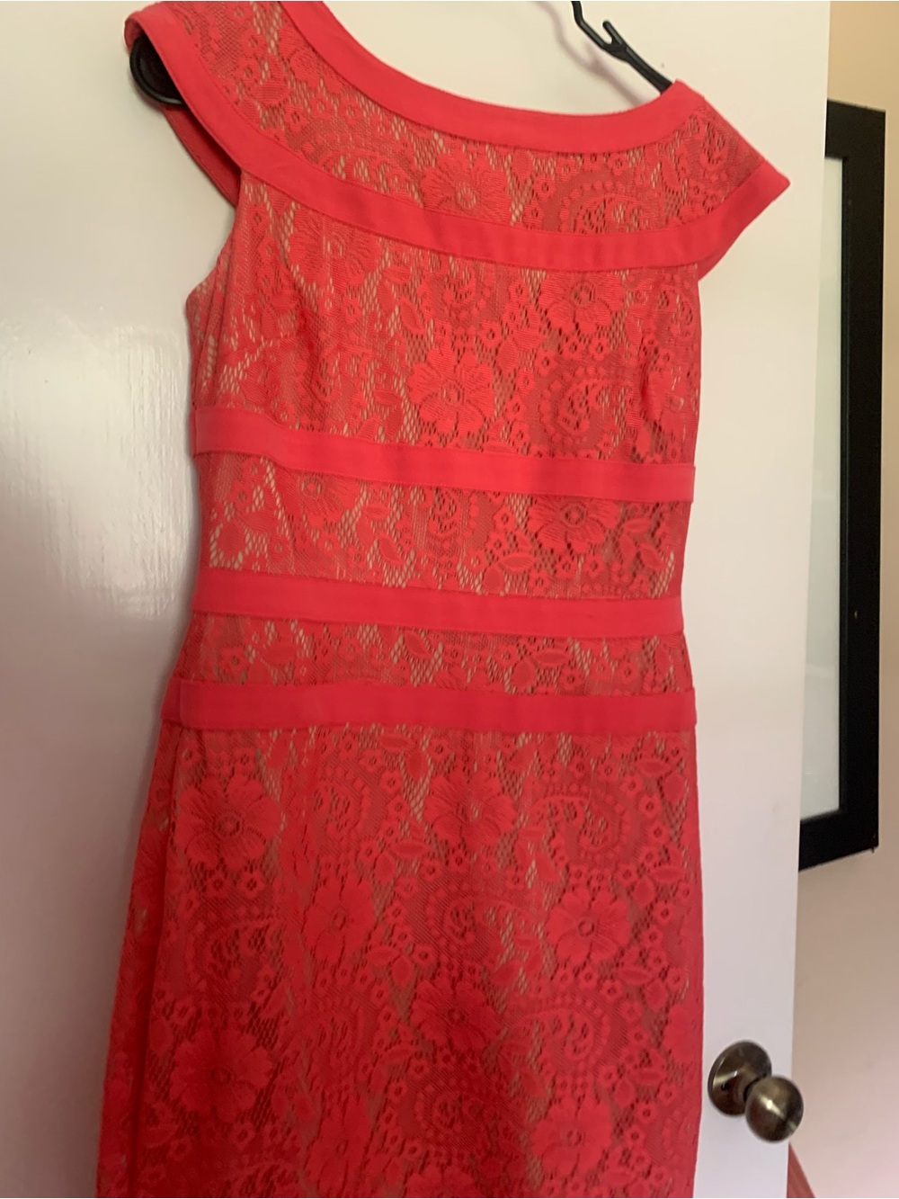 Adrianna Papell Coral Lace One-Shoulder Dress